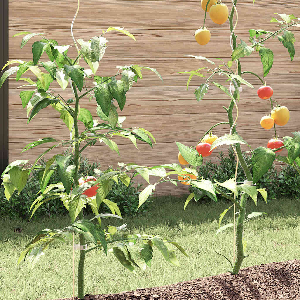 Tomaten-Spiralstäbe 50 Stk. 170 cm Verzinkter Stahl