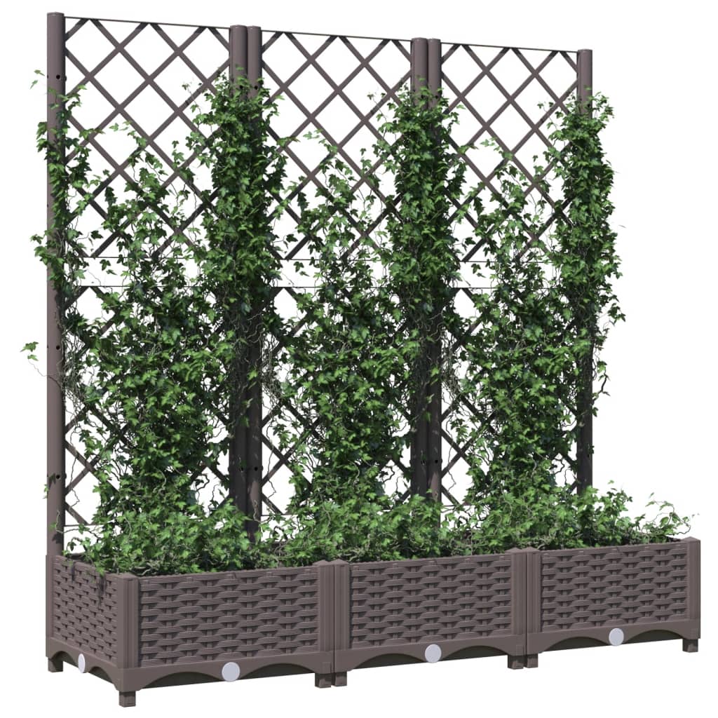 Garten-Pflanzgefäß mit Spalier Braun 120 x 40 x 121,5 cm PP