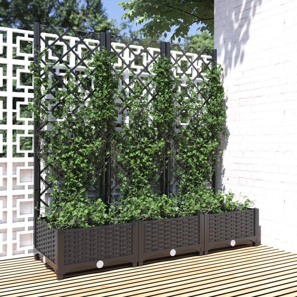 Garten-Pflanzgefäß mit Spalier Schwarz 120 x 40 x 121,5 cm PP