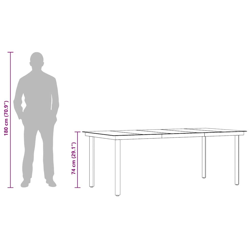 Garten-Esstisch Schwarz 200x100x74 cm Stahl und Glas