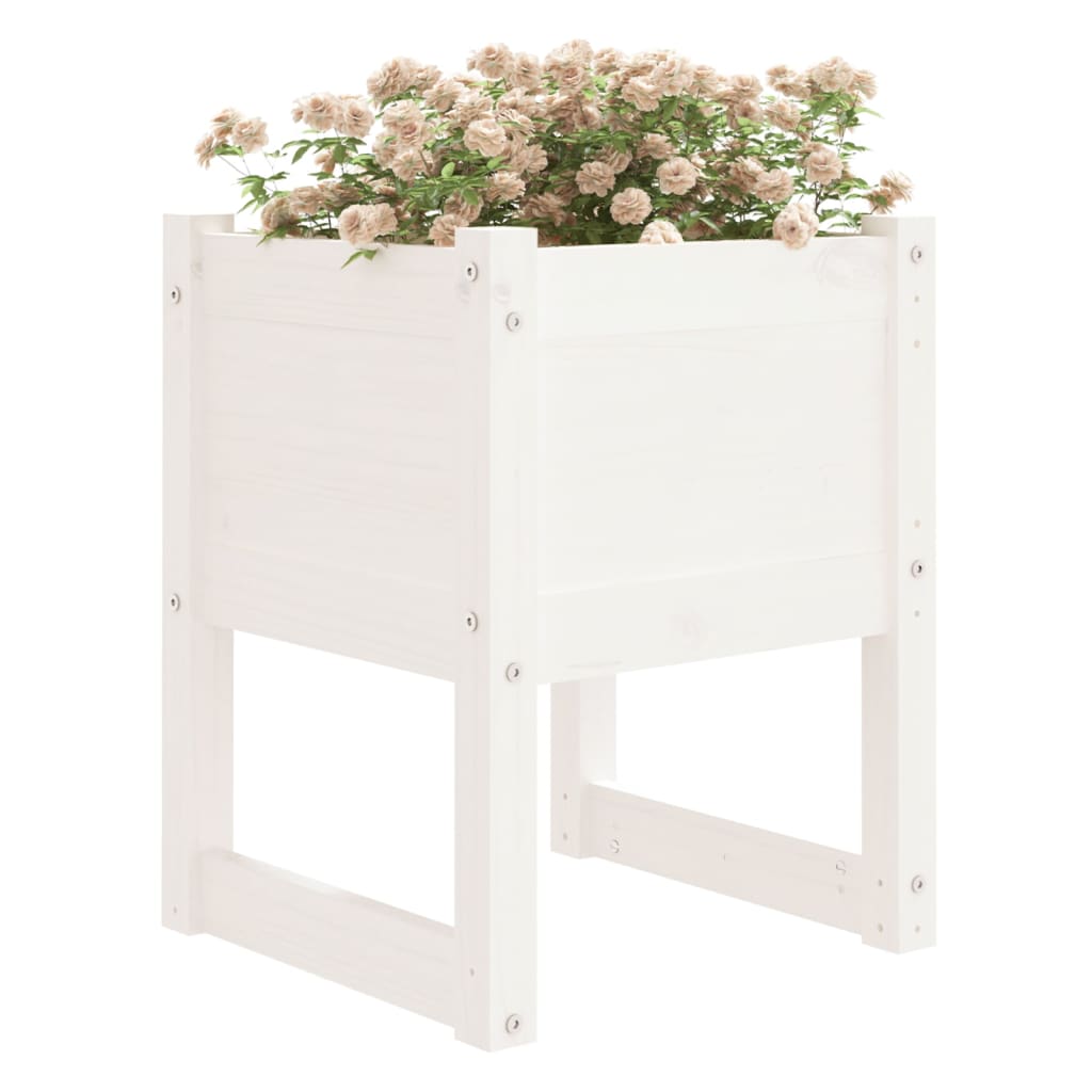 Plantepotte Hvid 40x40x52,5 cm Massiv Fyrretræ