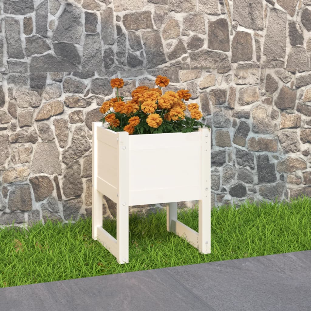 Plantepotte Hvid 40x40x52,5 cm Massiv Fyrretræ