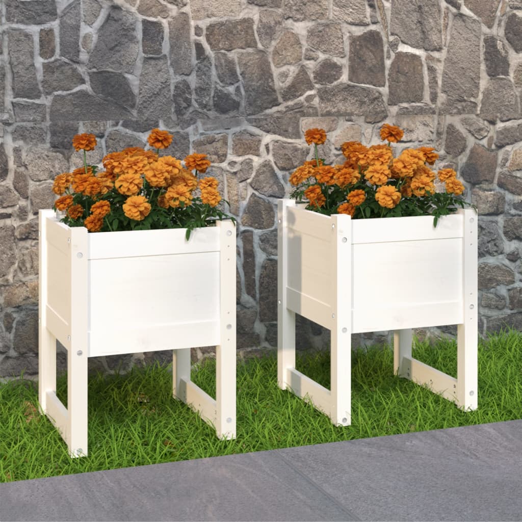 Plantepotte 2 stk Hvid 40x40x52,5 cm massiv fyrretræ