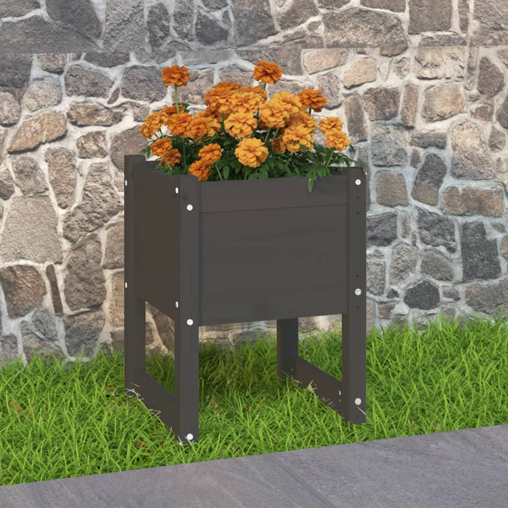 Plantepotte Grå 40x40x52,5 cm Massiv fyrretræ
