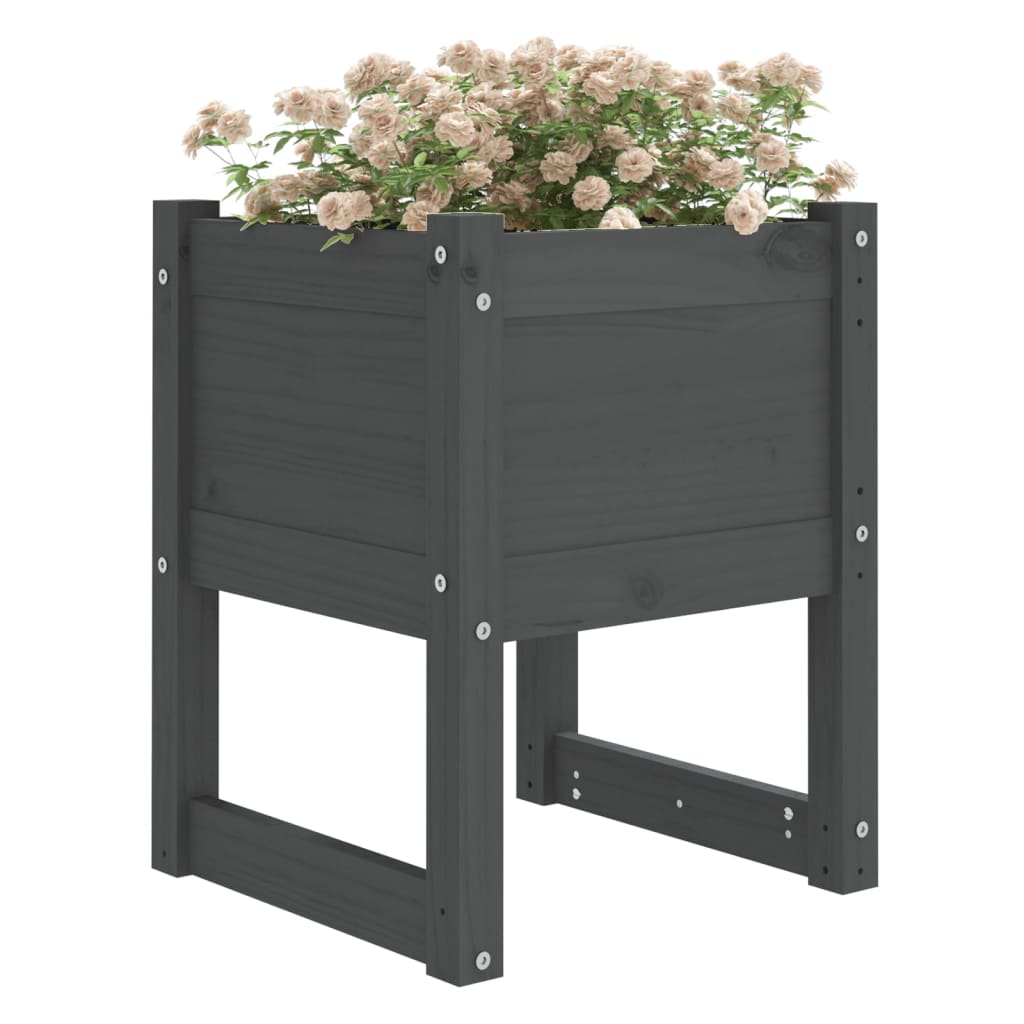 Plantepotte 2 stk Grå 40x40x52,5 cm massiv fyrretræ