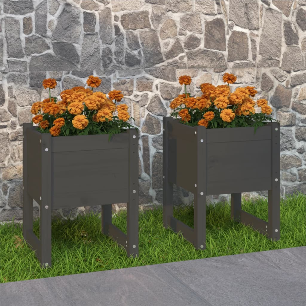 Plantepotte 2 stk Grå 40x40x52,5 cm massiv fyrretræ