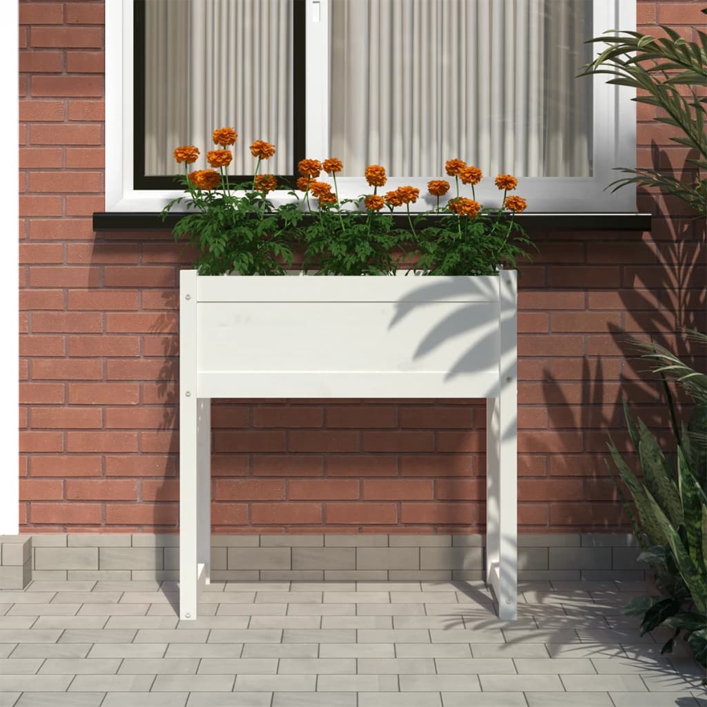 Plantepotte Hvid 78x40x81 cm Massiv fyrretræ