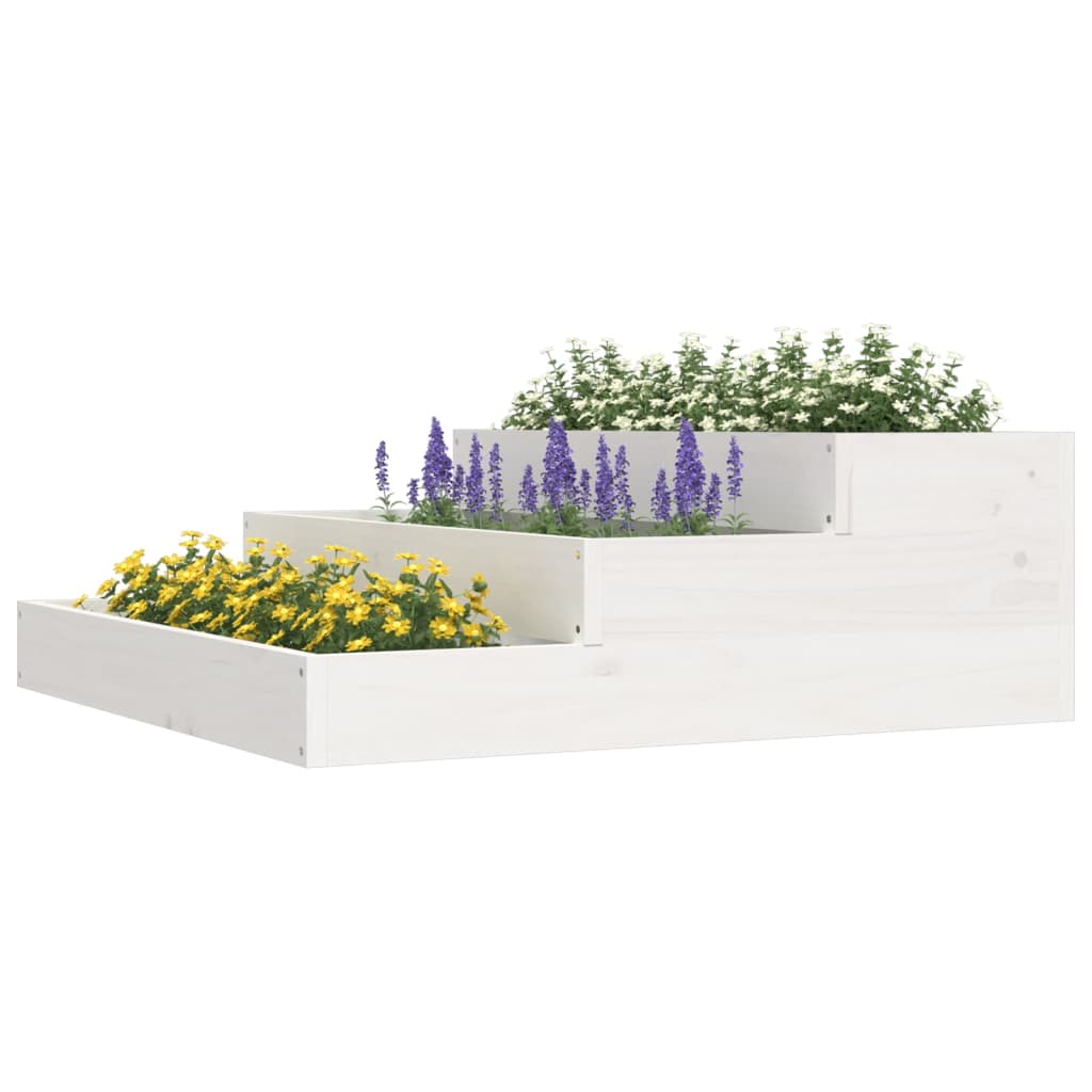 Plantepotte Hvid 78x78x27 cm Massiv Fyrretræ