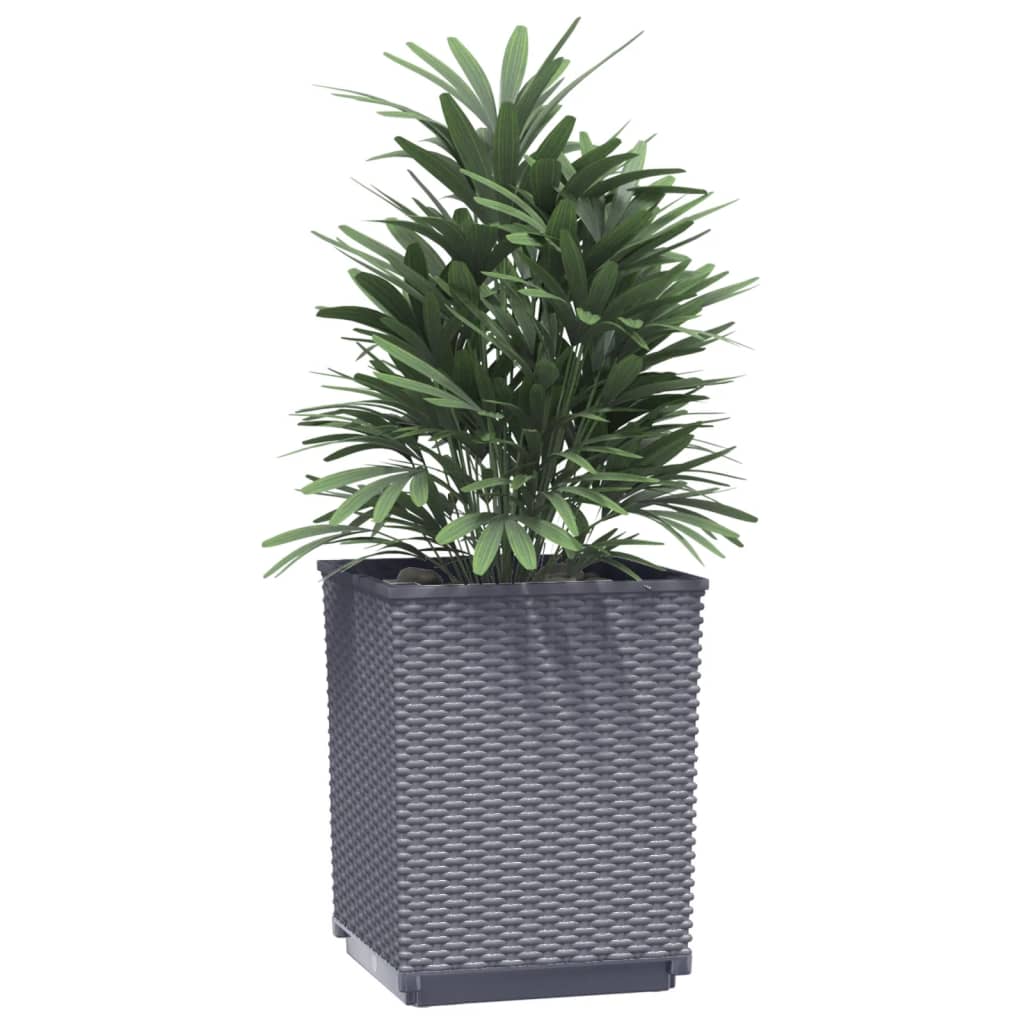Plantepotte 2 stk Mørkegrå 30x30x37 cm polypropylen