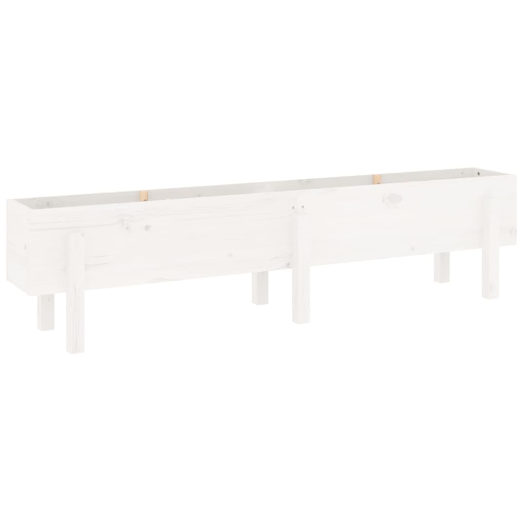 Højseng Hvid 160x30x38 cm Massiv Fyrretræ
