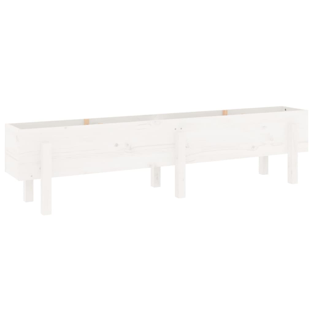 Højseng Hvid 160x30x38 cm Massiv Fyrretræ