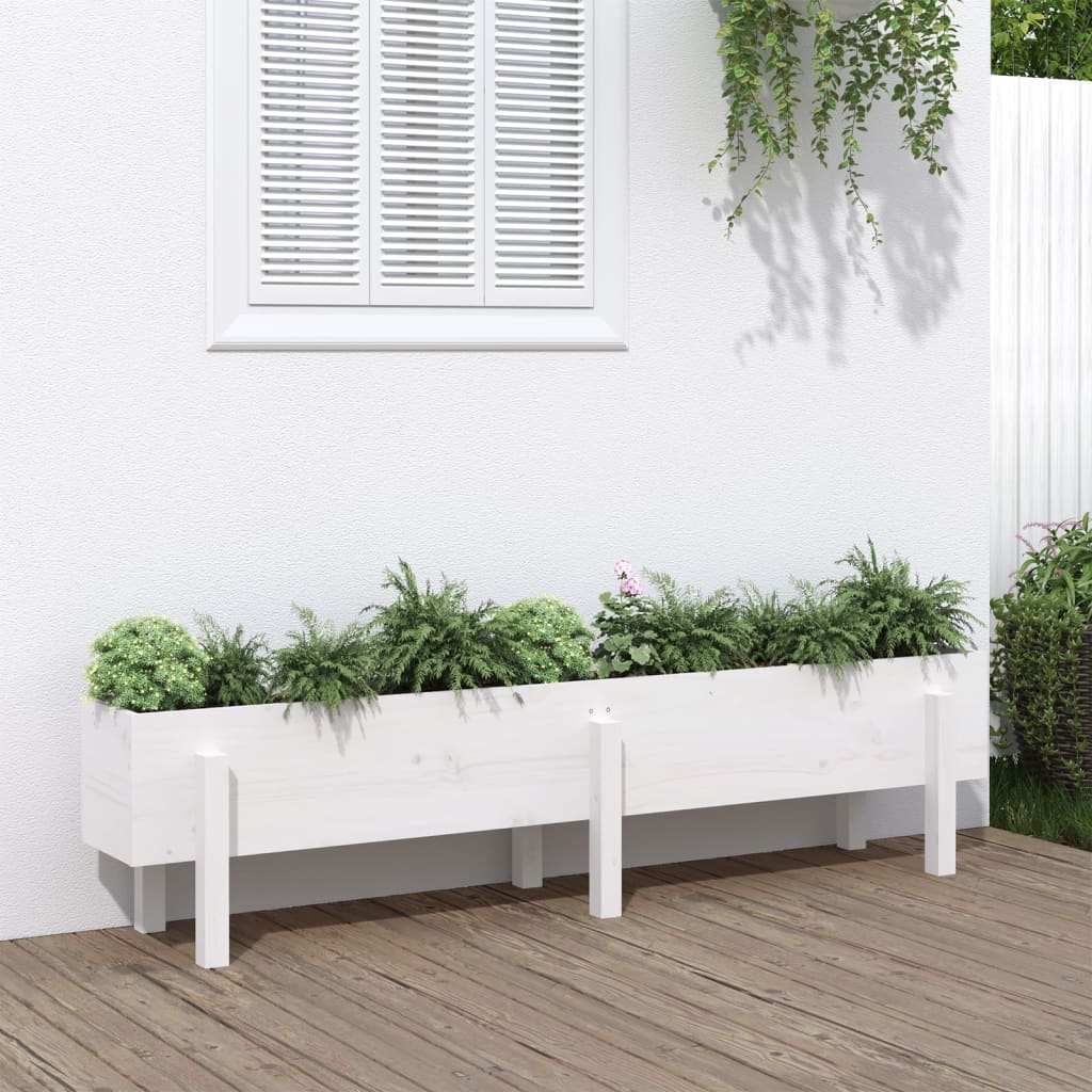 Højseng Hvid 160x30x38 cm Massiv Fyrretræ