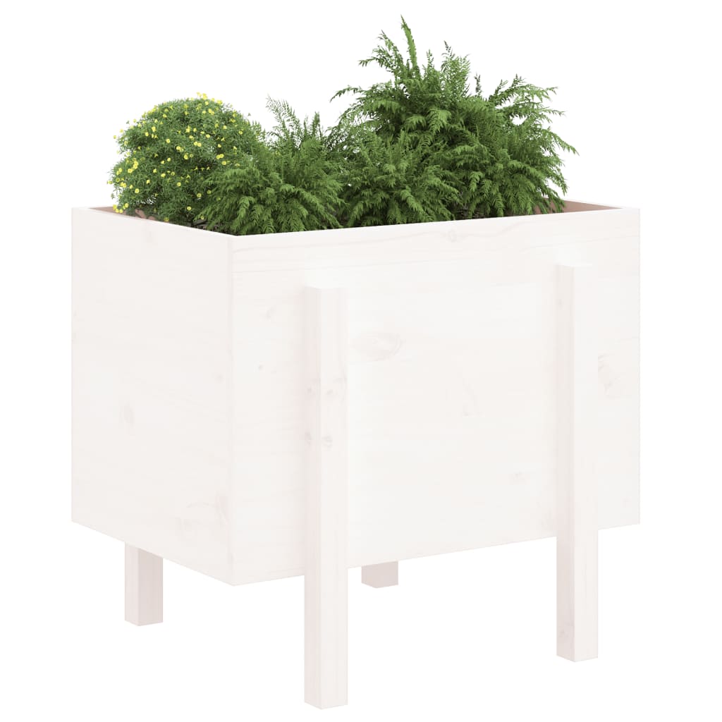 Plantepotte Hvid 62x50x57 cm Massiv Fyrretræ
