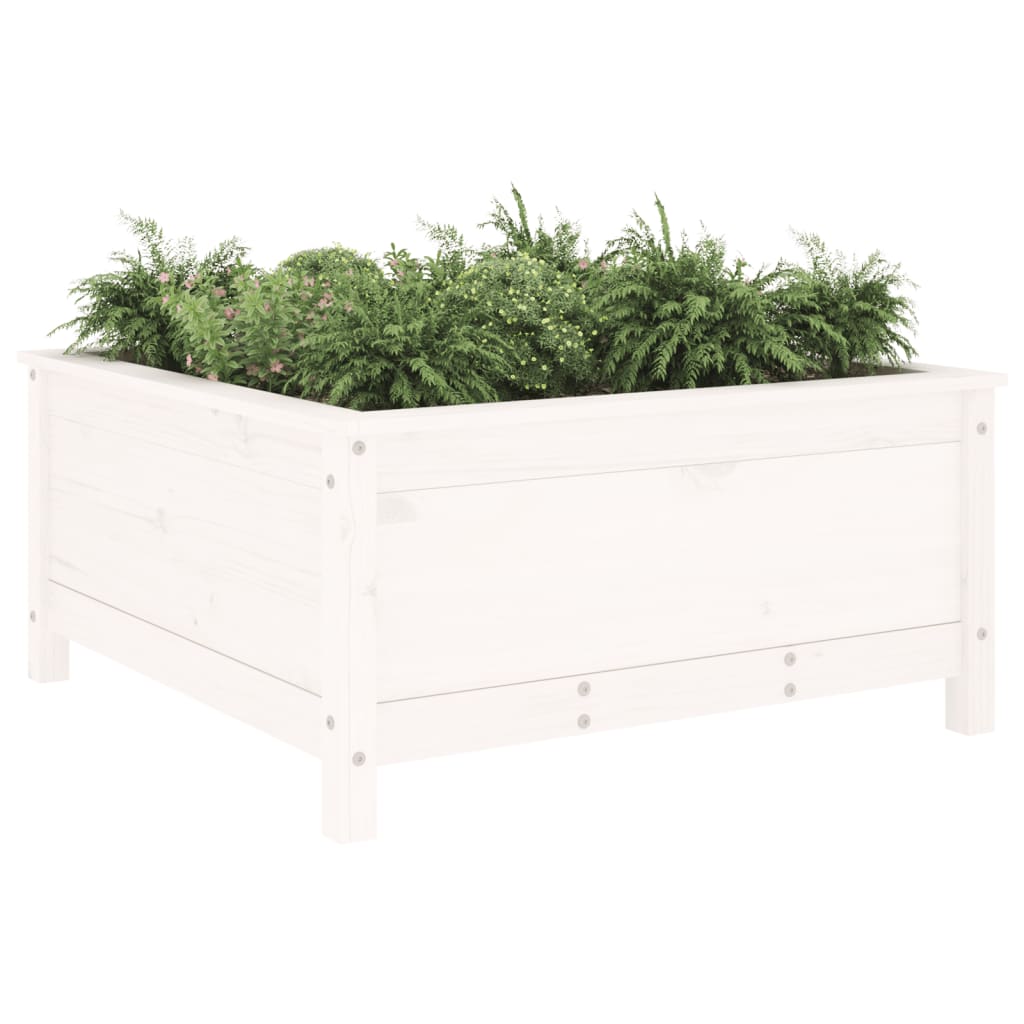 Plantepotte Hvid 82,5x82,5x39 cm Massiv fyrretræ