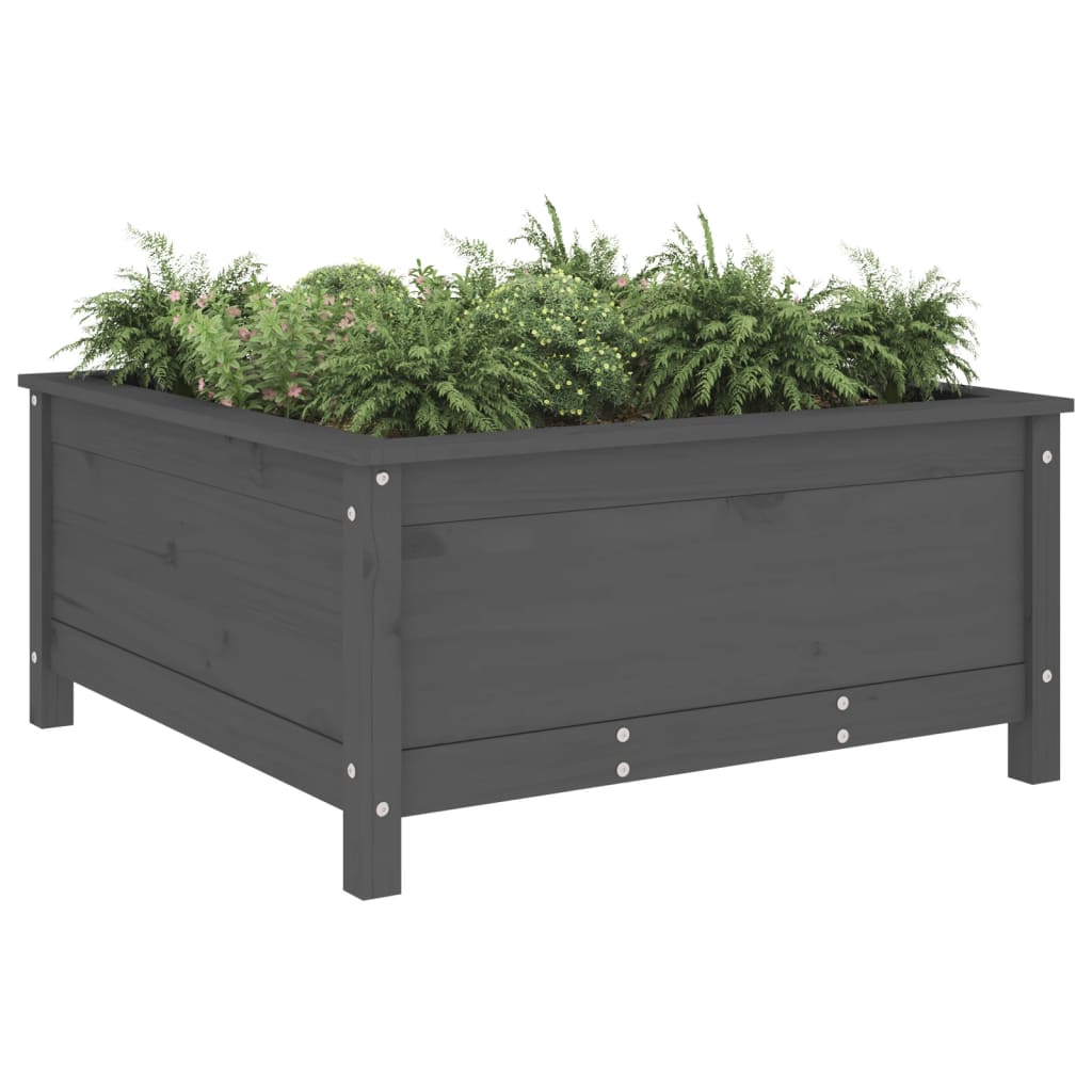 Plantepotte Grå 82,5x82,5x39 cm Massiv fyrretræ