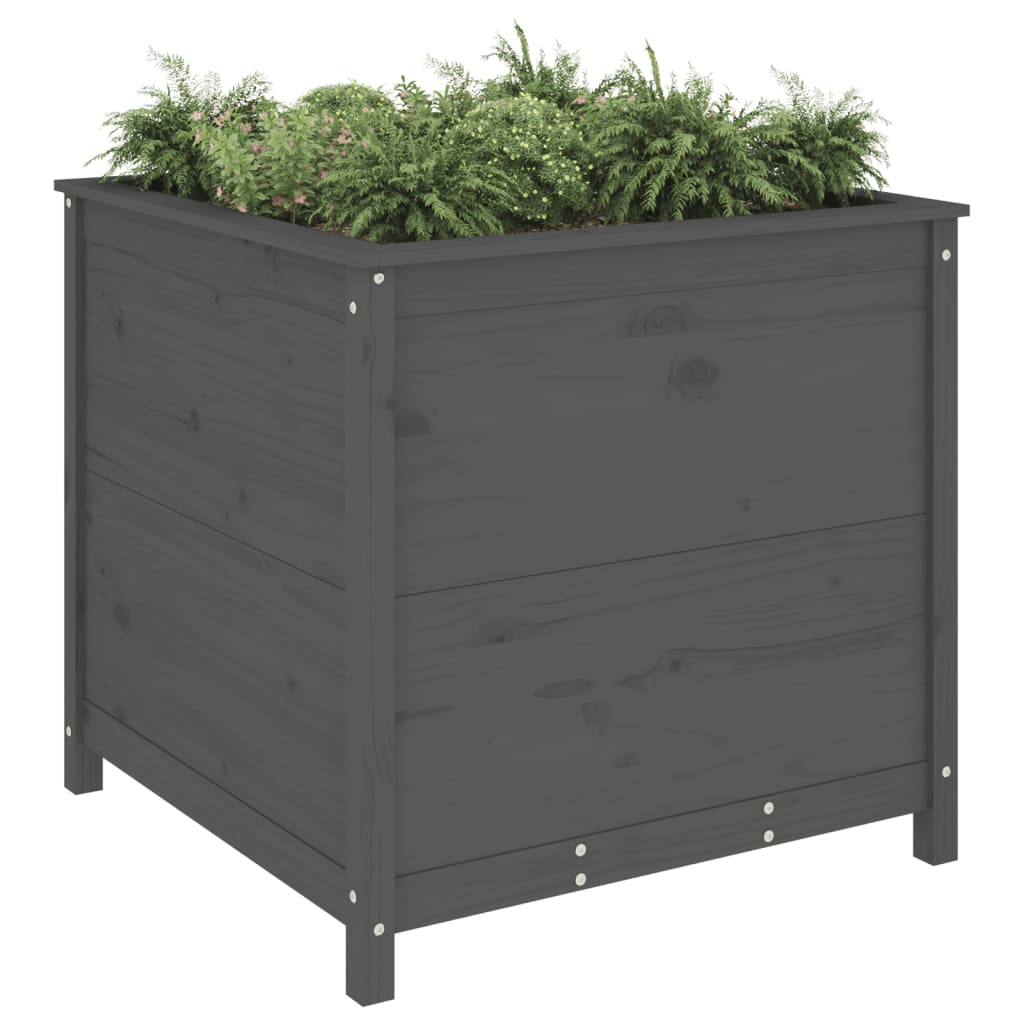 Plantepotte Grå 82,5x82,5x78 cm Massiv fyrretræ