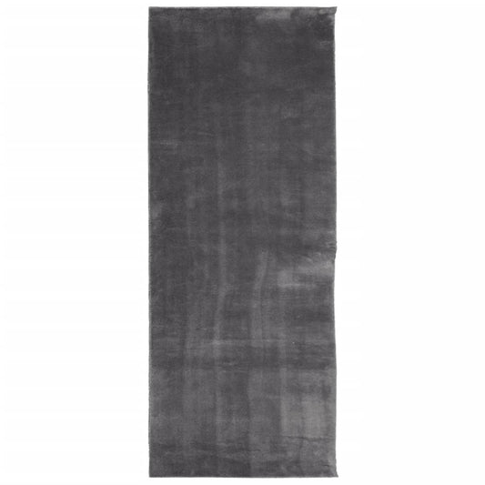 Teppich HUARTE Kurzflor Weich und Waschbar Anthrazit 80x200 cm