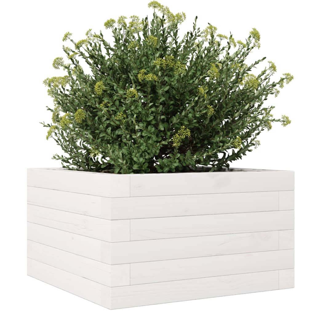 Plantepotte Hvid 40x40x23 cm Massiv Fyrretræ