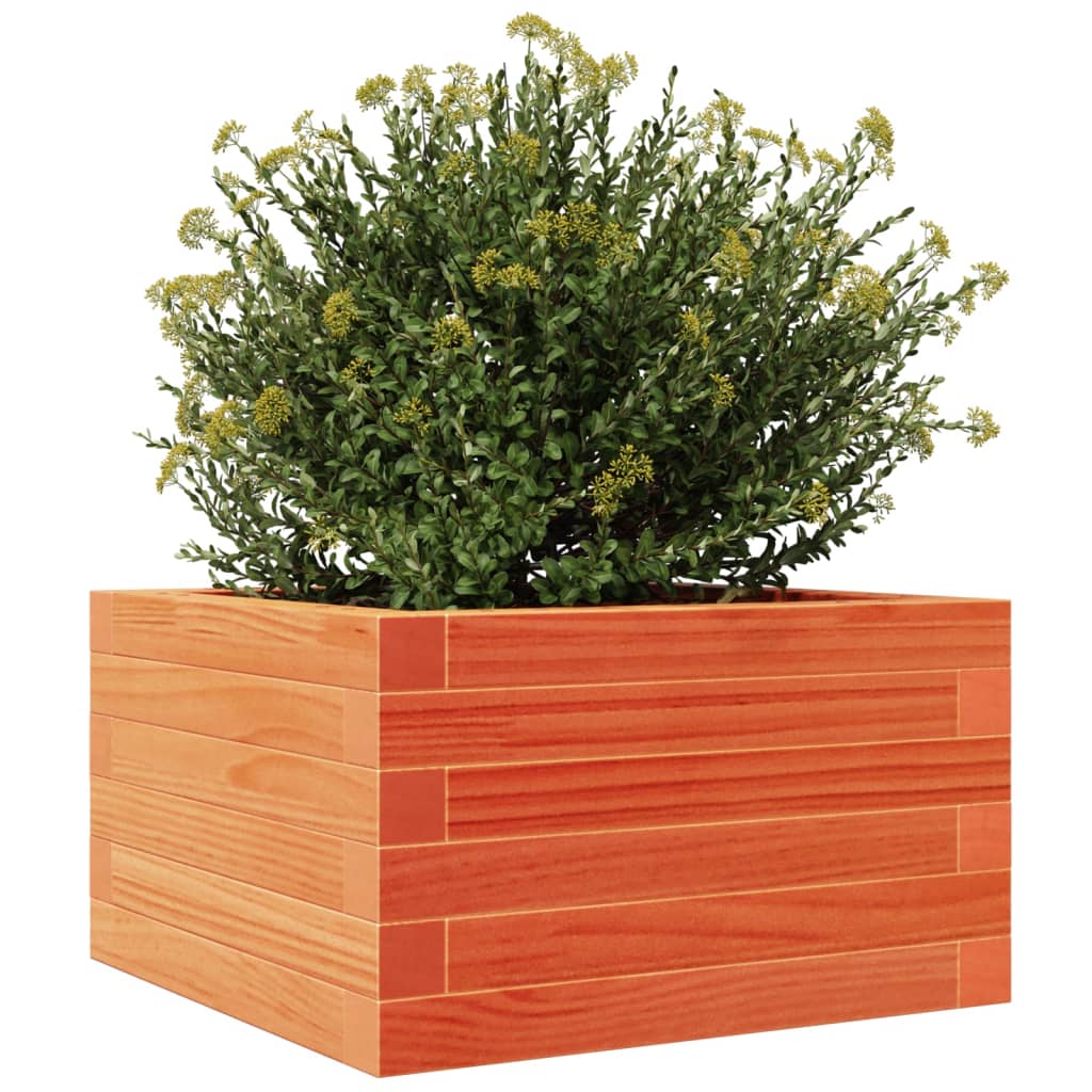 Plantekrukke voks brun 40x40x23 cm massivt fyrretræ