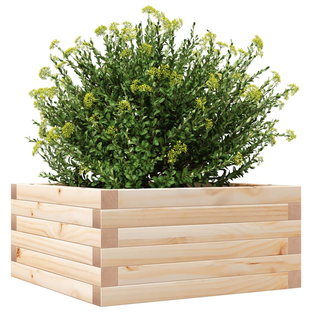 Plantekrukke 50x50x23 cm massivt fyrretræ