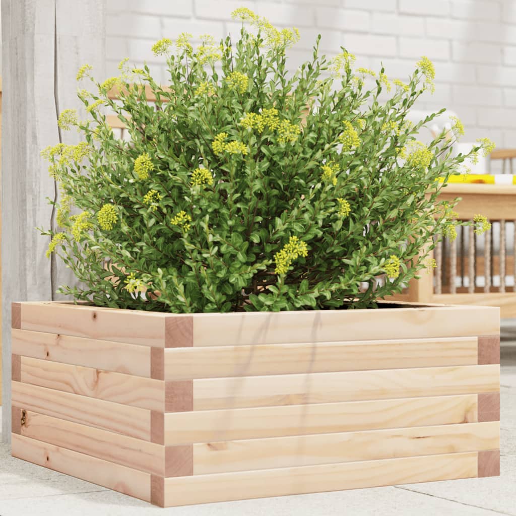 Plantekrukke 50x50x23 cm massivt fyrretræ
