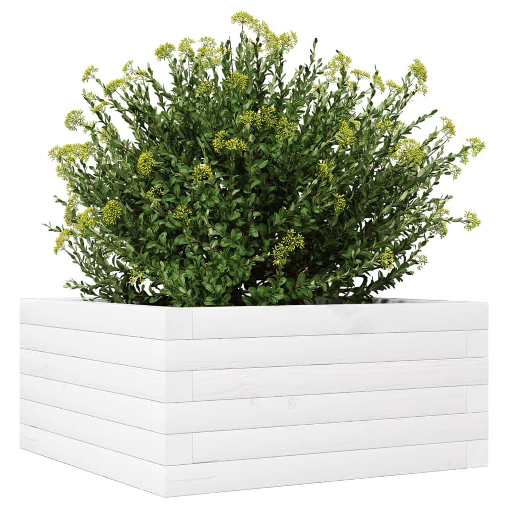 Plantepotte Hvid 50x50x23 cm Massiv fyrretræ