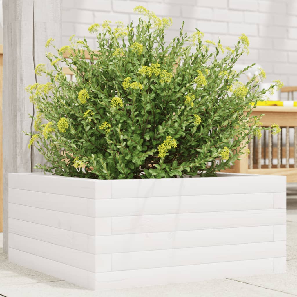 Plantepotte Hvid 50x50x23 cm Massiv fyrretræ