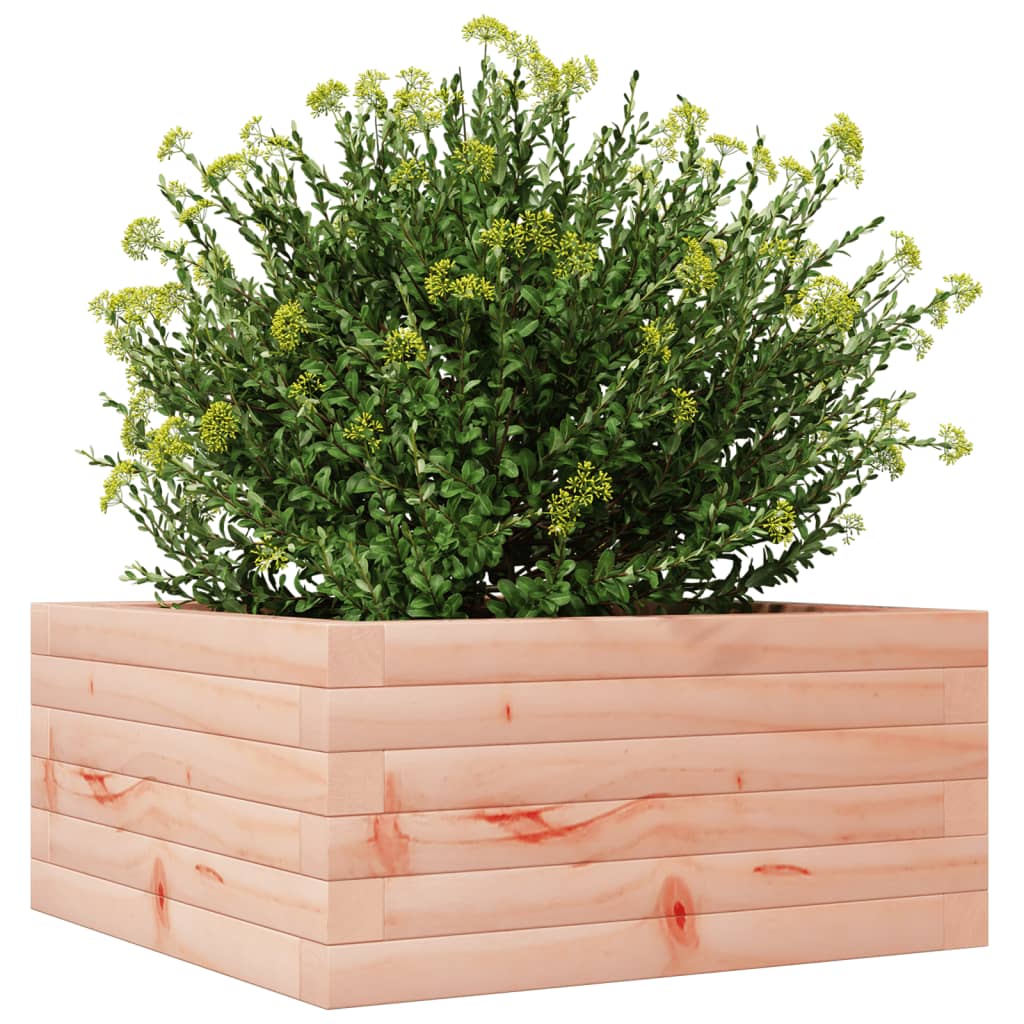 Plantepotte 50x50x23 cm massivt træ Douglasgran