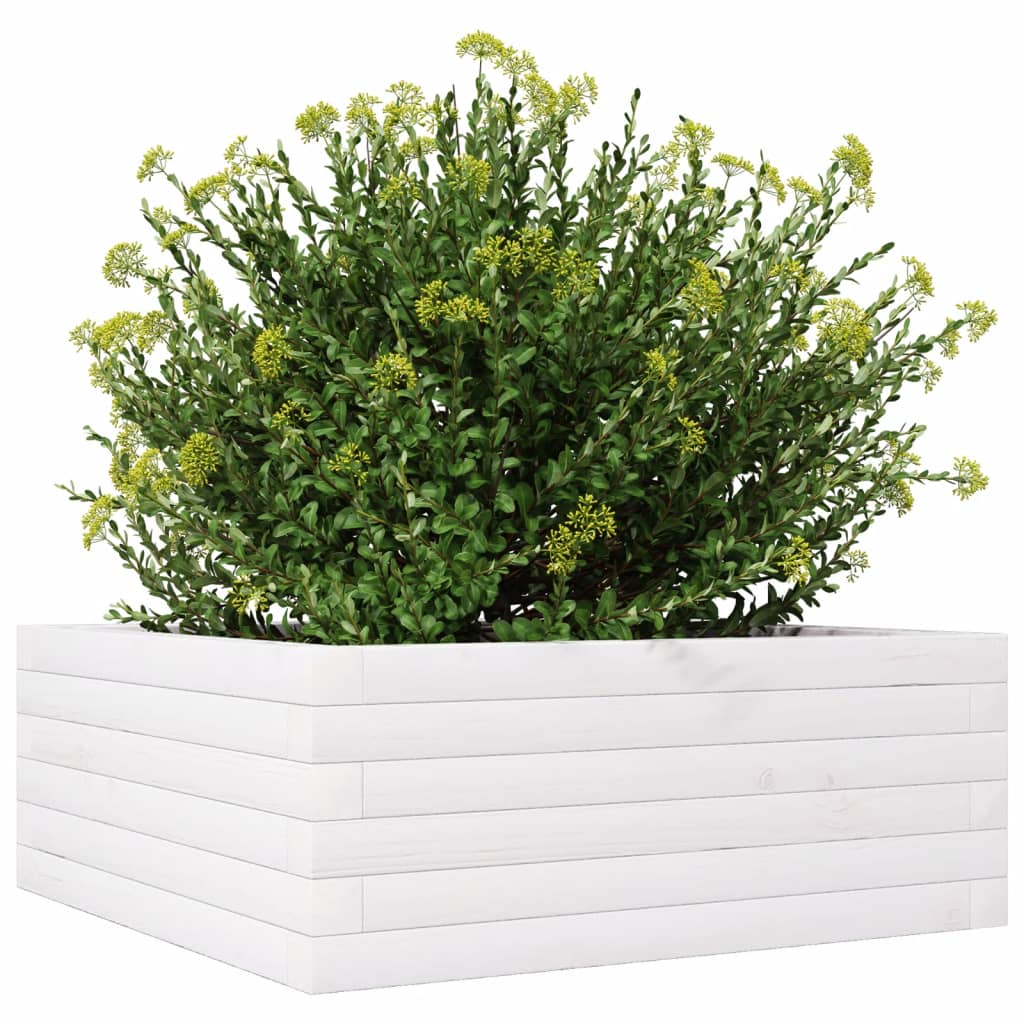 Plantepotte Hvid 60x60x23 cm Massiv Fyrretræ