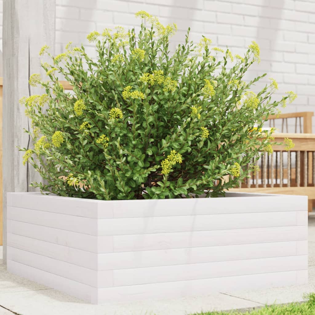 Plantepotte Hvid 60x60x23 cm Massiv Fyrretræ