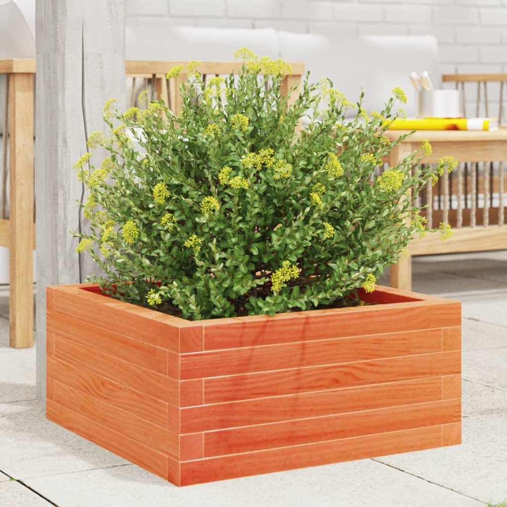 Plantekrukke voks brun 60x60x23 cm massivt fyrretræ