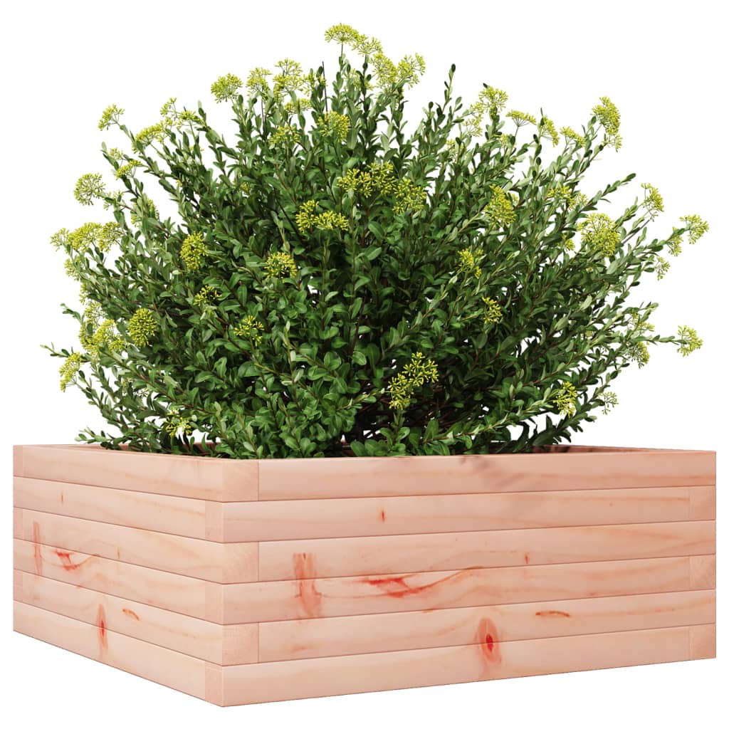 Plantepotte 60x60x23 cm massivt træ Douglasgran