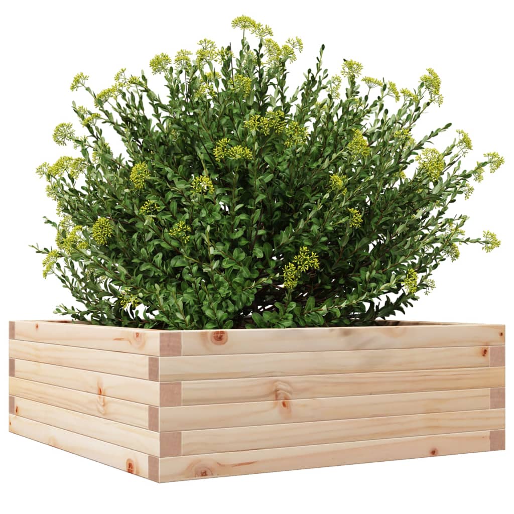 Plantekrukke 70x70x23 cm massivt fyrretræ