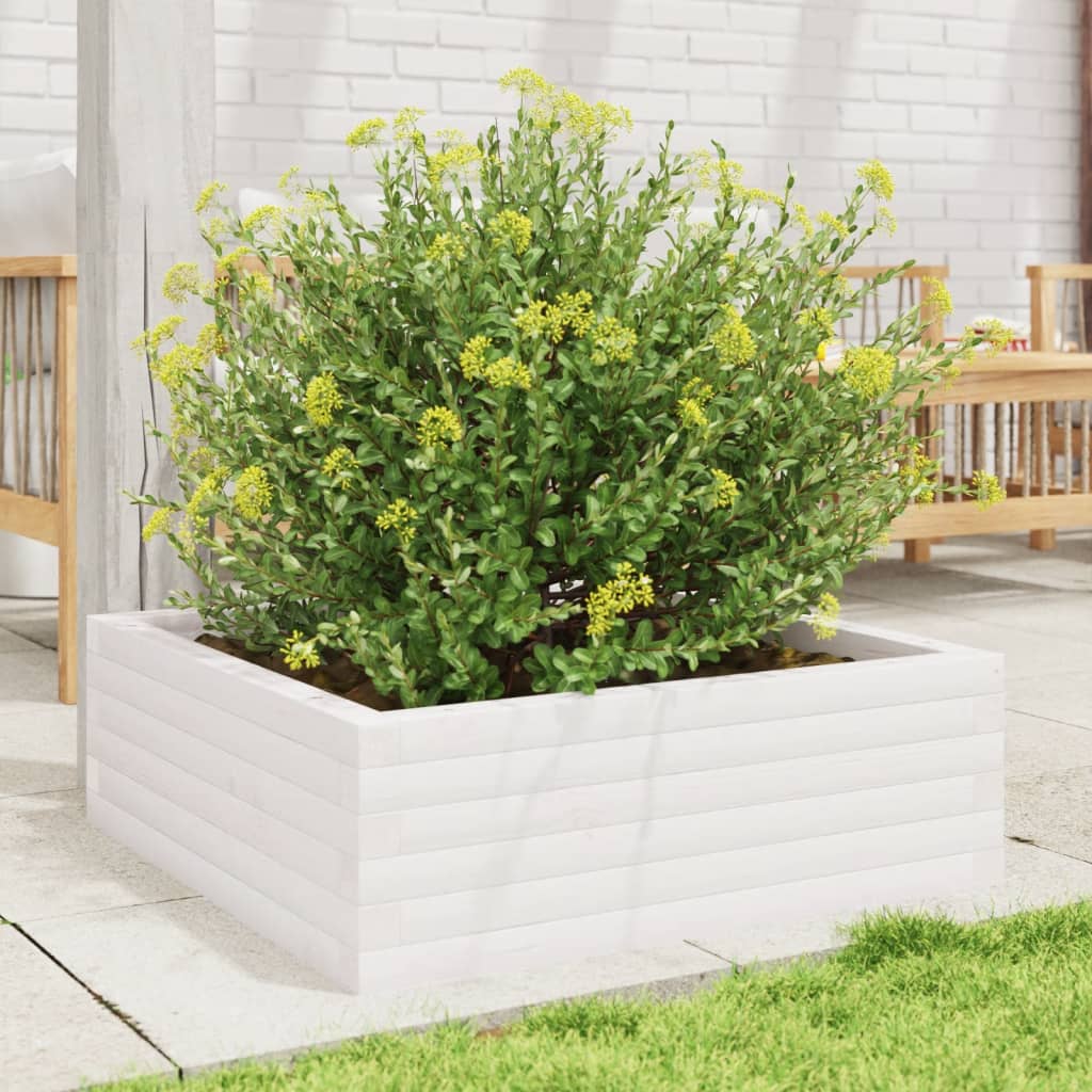 Plantekrukke Hvid 70x70x23 cm Massiv Fyrretræ