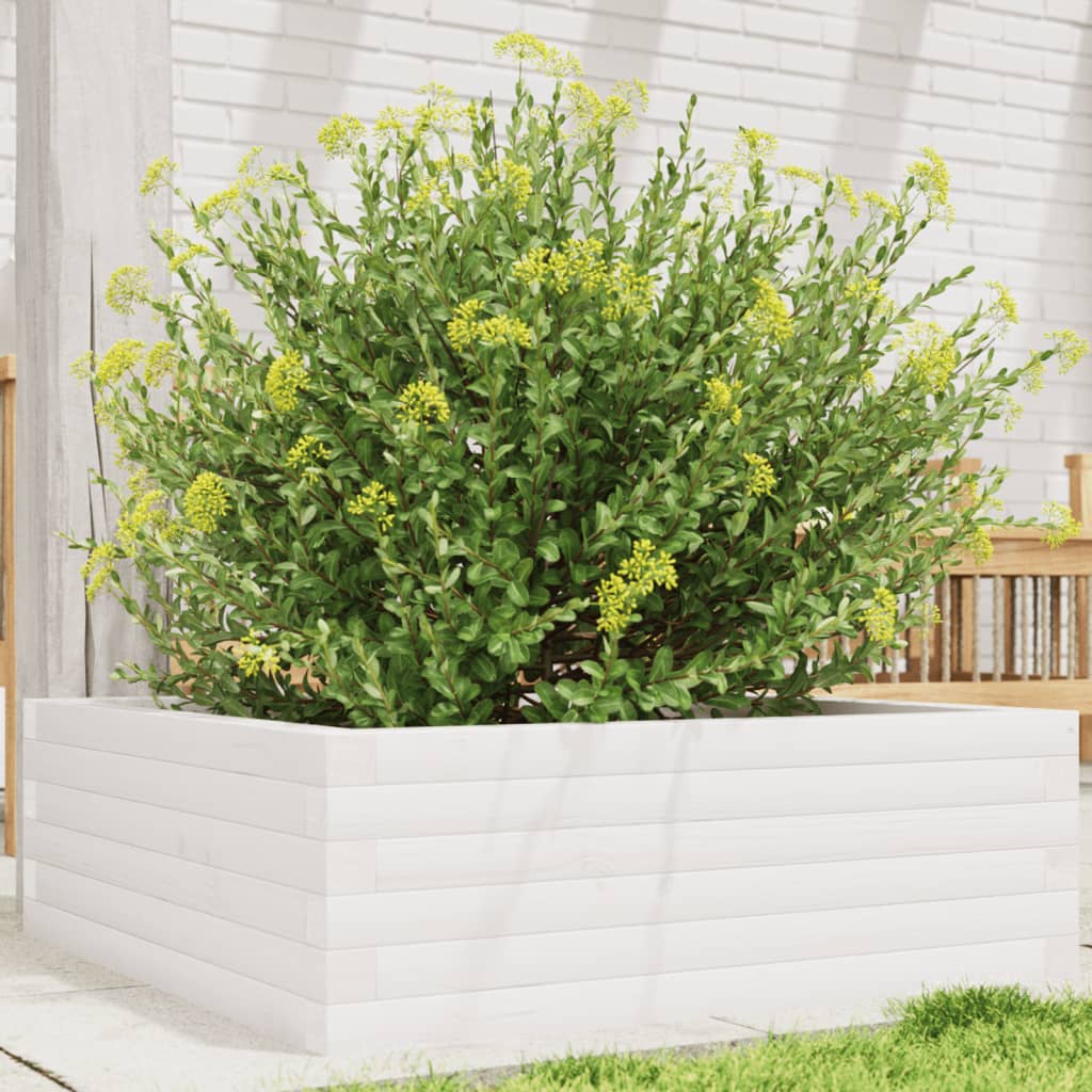 Plantekrukke Hvid 70x70x23 cm Massiv Fyrretræ