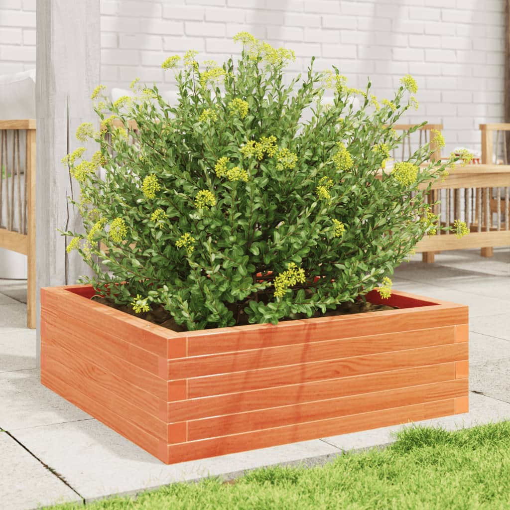 Plantekrukke voks brun 70x70x23 cm massivt fyrretræ