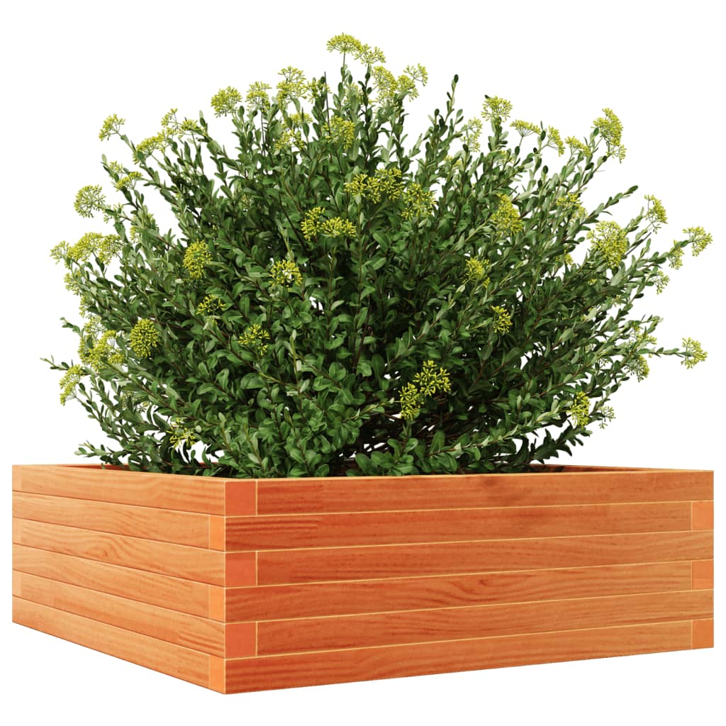 Plantekrukke voks brun 70x70x23 cm massivt fyrretræ