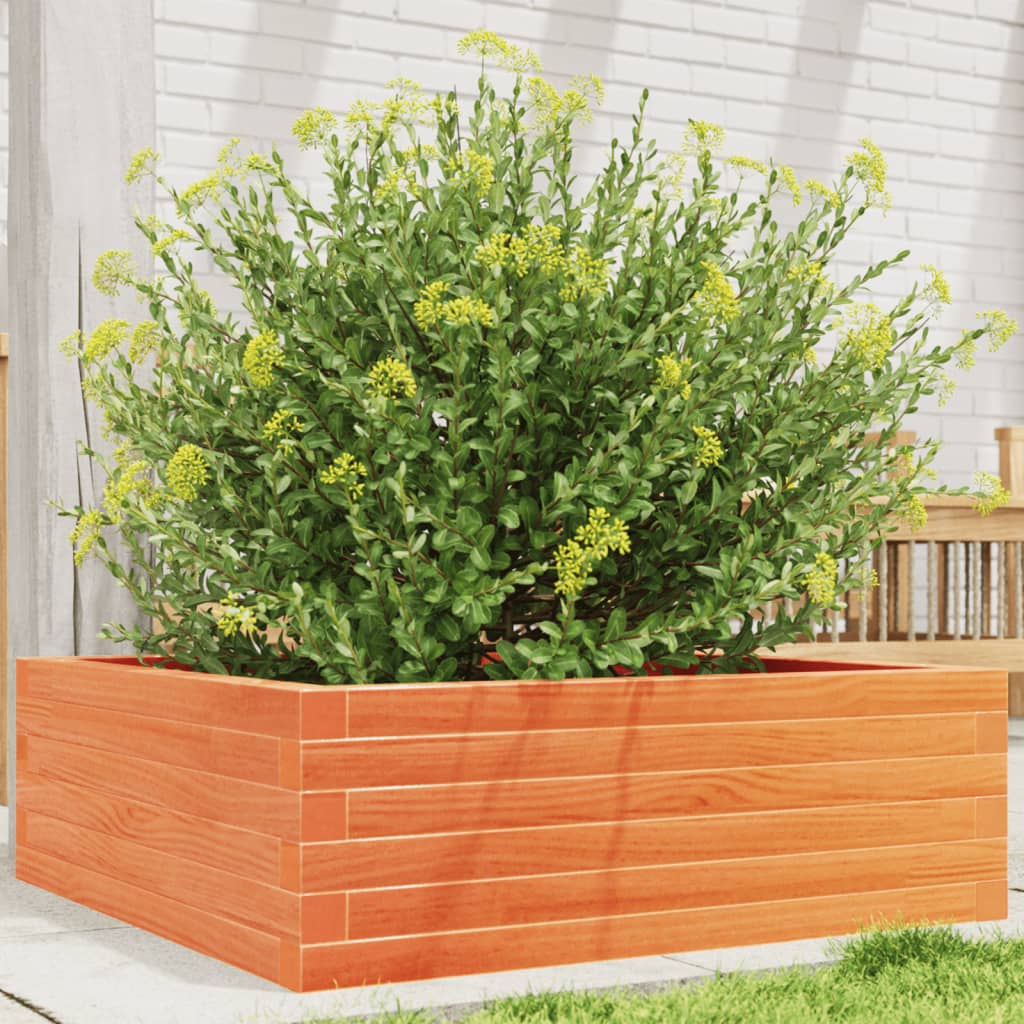 Plantekrukke voks brun 70x70x23 cm massivt fyrretræ