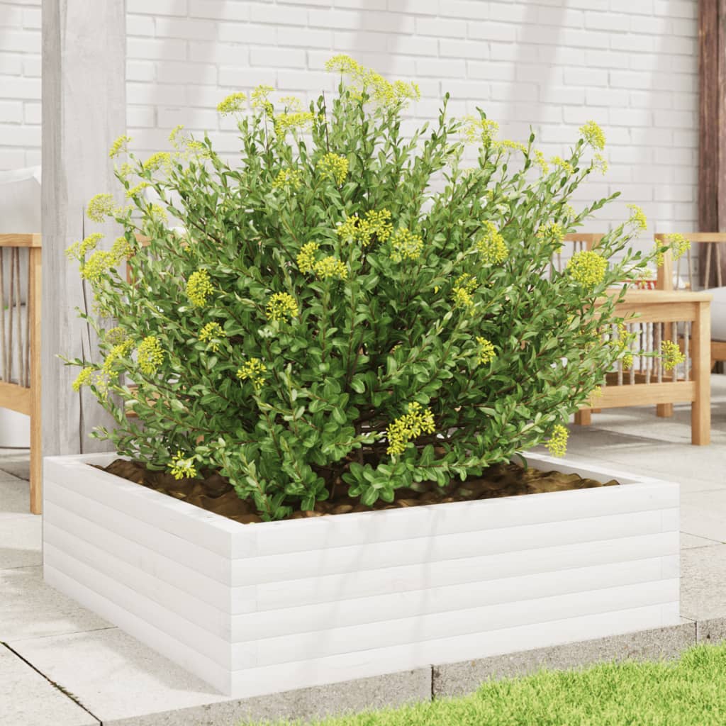 Plantepotte Hvid 80x80x23 cm Massiv Fyrretræ