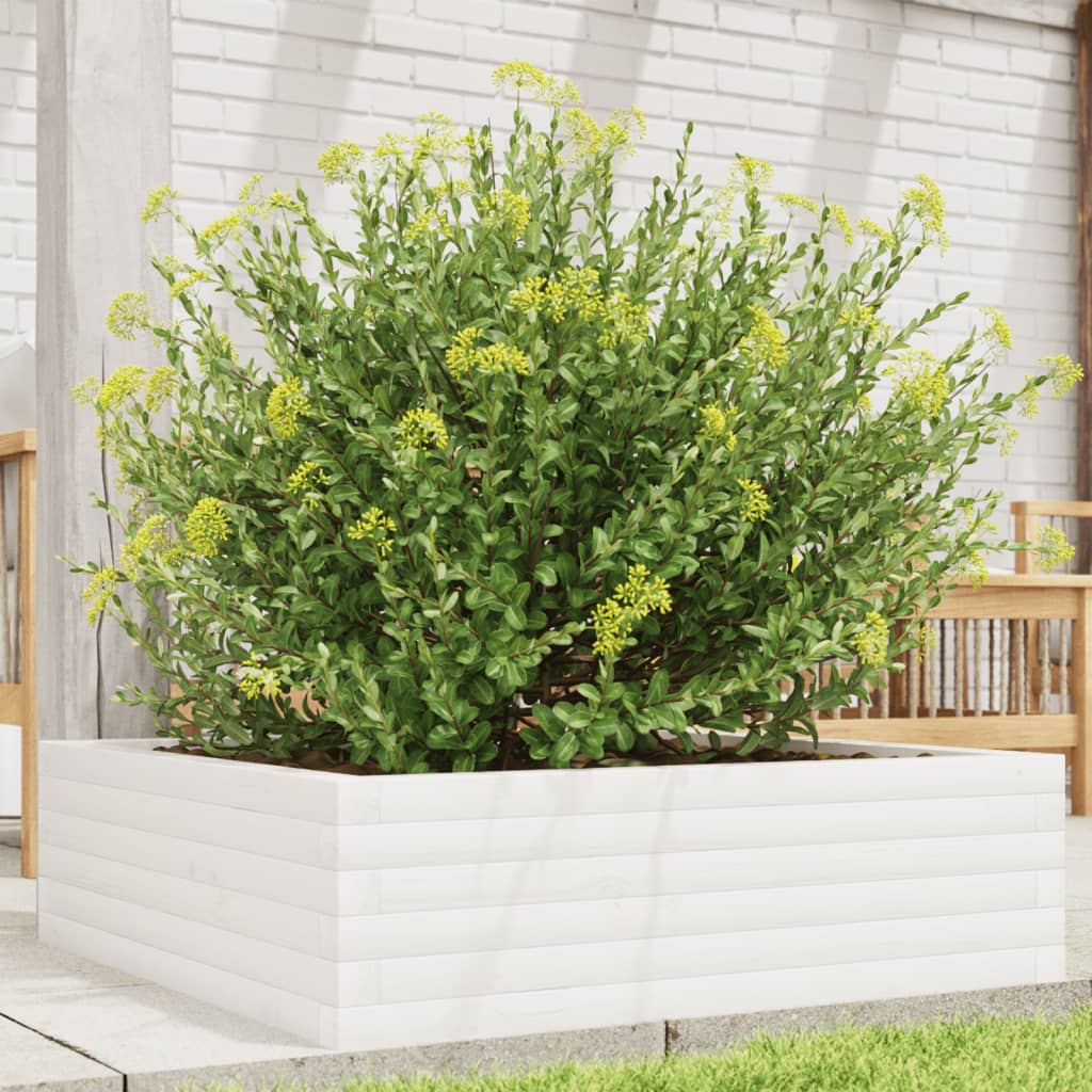Plantepotte Hvid 80x80x23 cm Massiv Fyrretræ