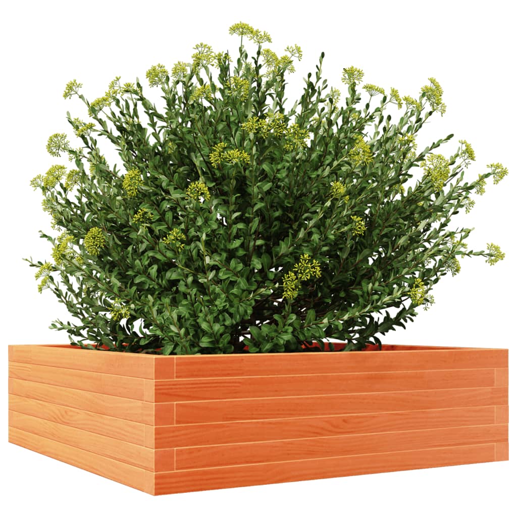 Plantekrukke voks brun 80x80x23 cm massivt fyrretræ