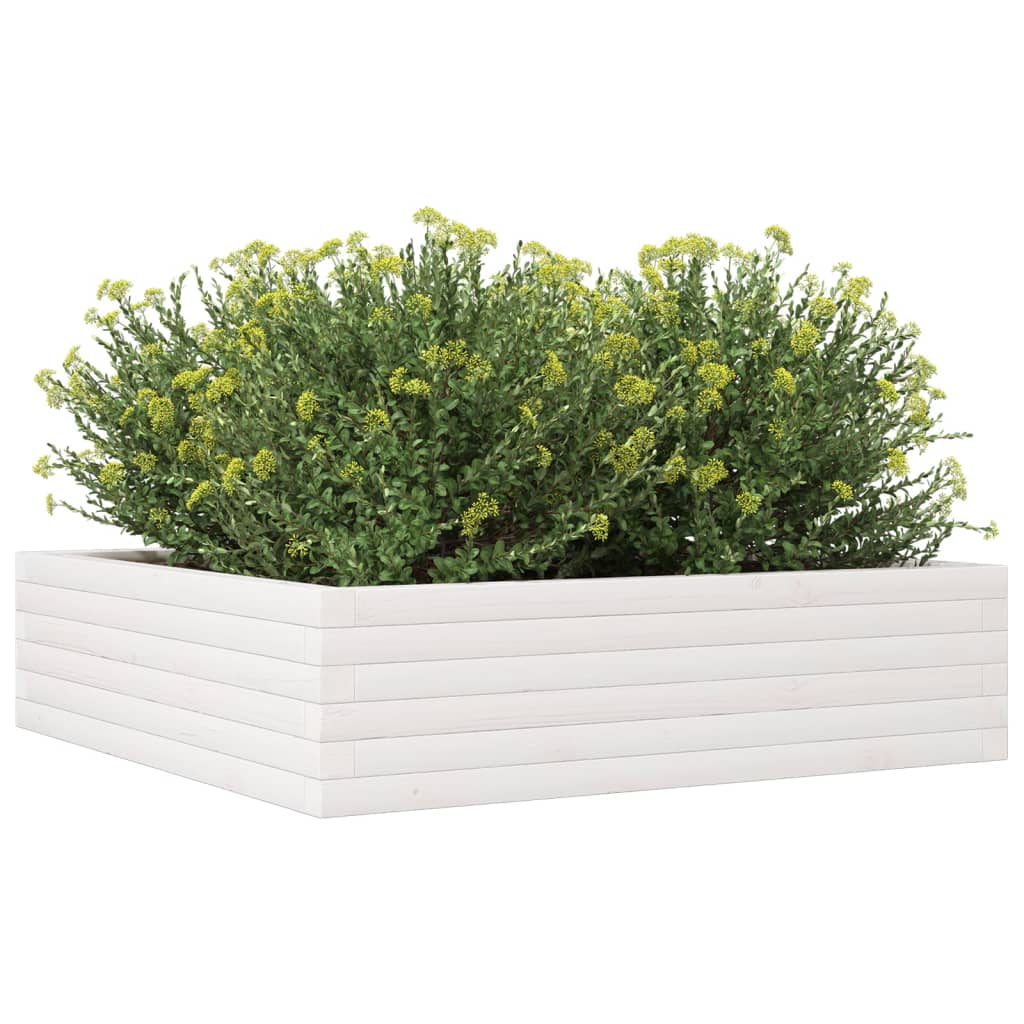 Plantekrukke Hvid 90x90x23 cm Massiv Fyrretræ