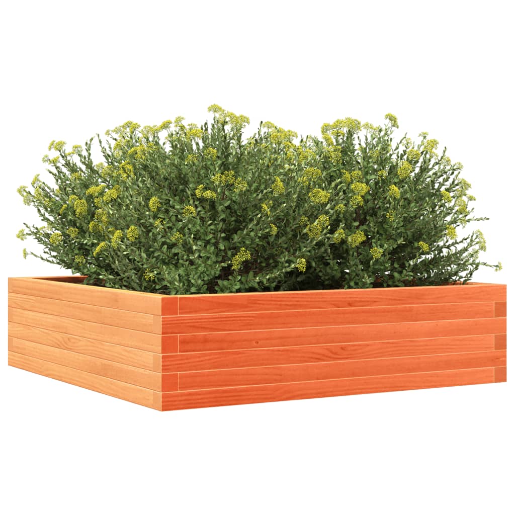 Plantekrukke voks brun 90x90x23 cm massivt fyrretræ