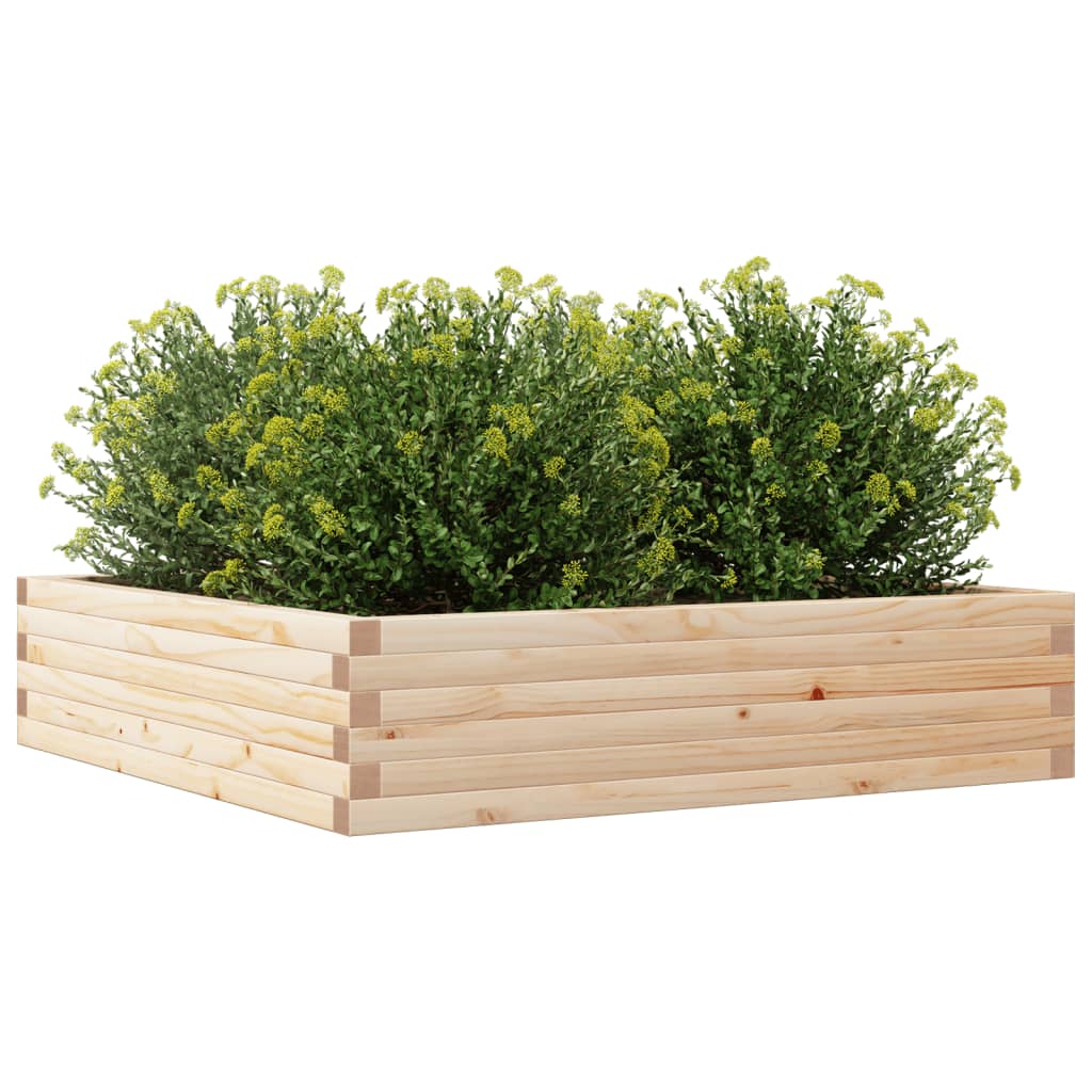 Plantekrukke 100x100x23 cm massivt fyrretræ