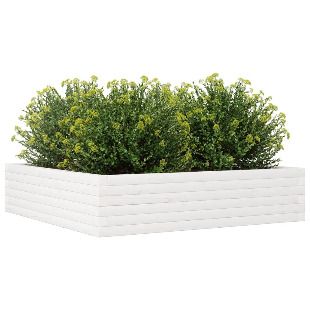 Plantepotte Hvid 100x100x23 cm Massiv Fyrretræ