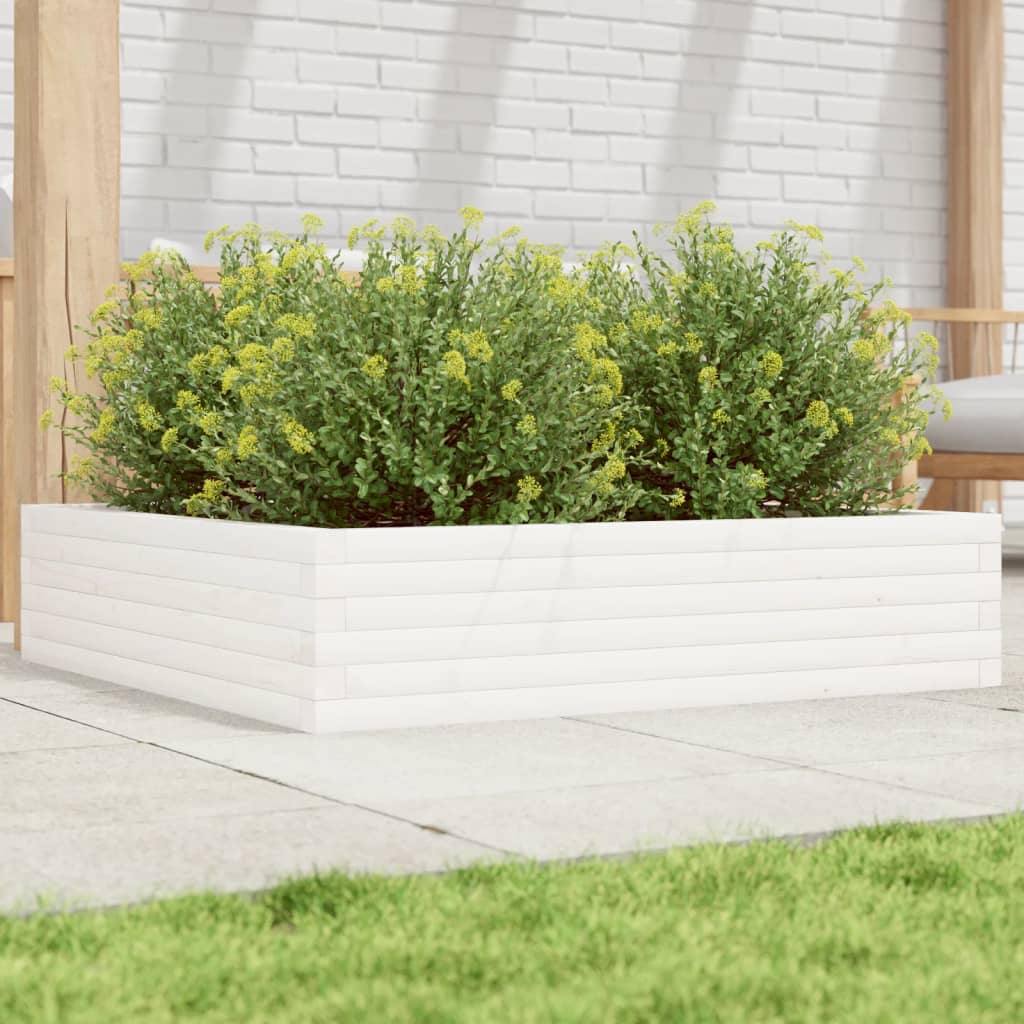 Plantepotte Hvid 100x100x23 cm Massiv Fyrretræ