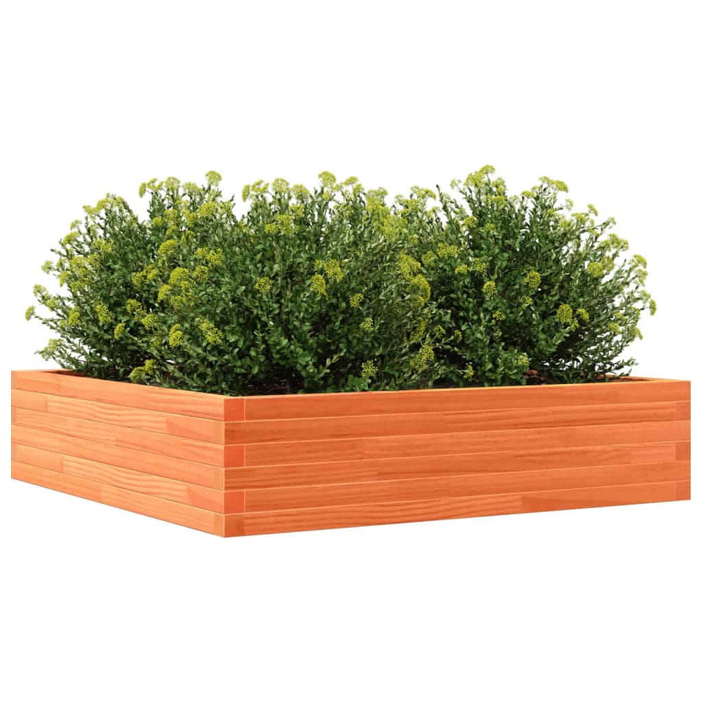 Plantekrukke voks brun 100x100x23 cm massivt fyrretræ