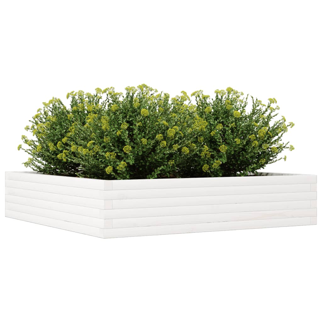 Plantepotte Hvid 110x110x23 cm Massiv Fyrretræ