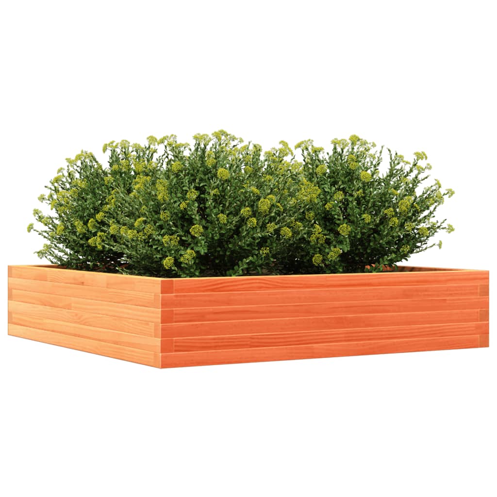 Plantekrukkevoks brun 110x110x23 cm massivt fyrretræ