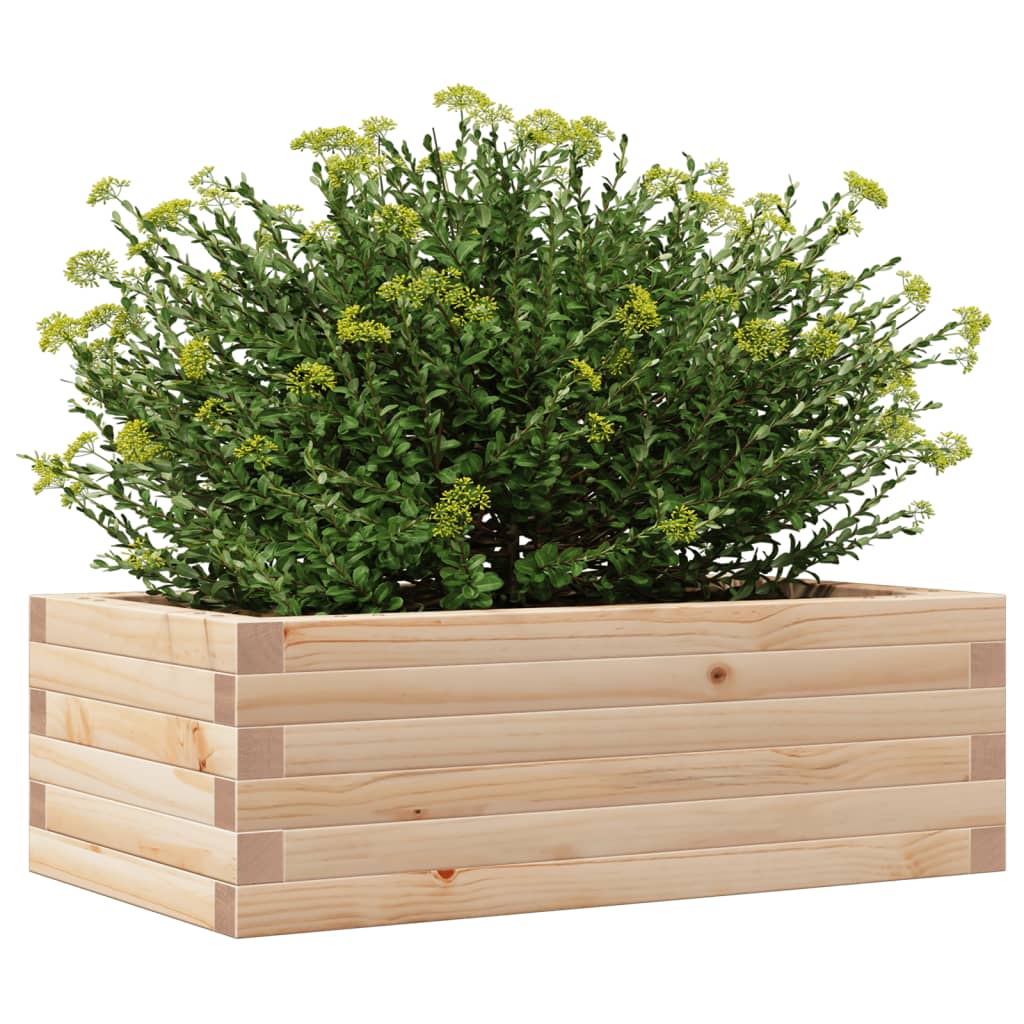 Plantekrukke 70x40x23 cm massivt fyrretræ